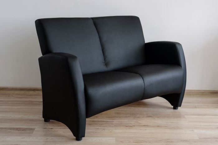 037_2 Сінді Диван 2-місний Білий/Чорний